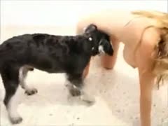 Dog forces itself on cute golden-haired mother I'd like to fuck